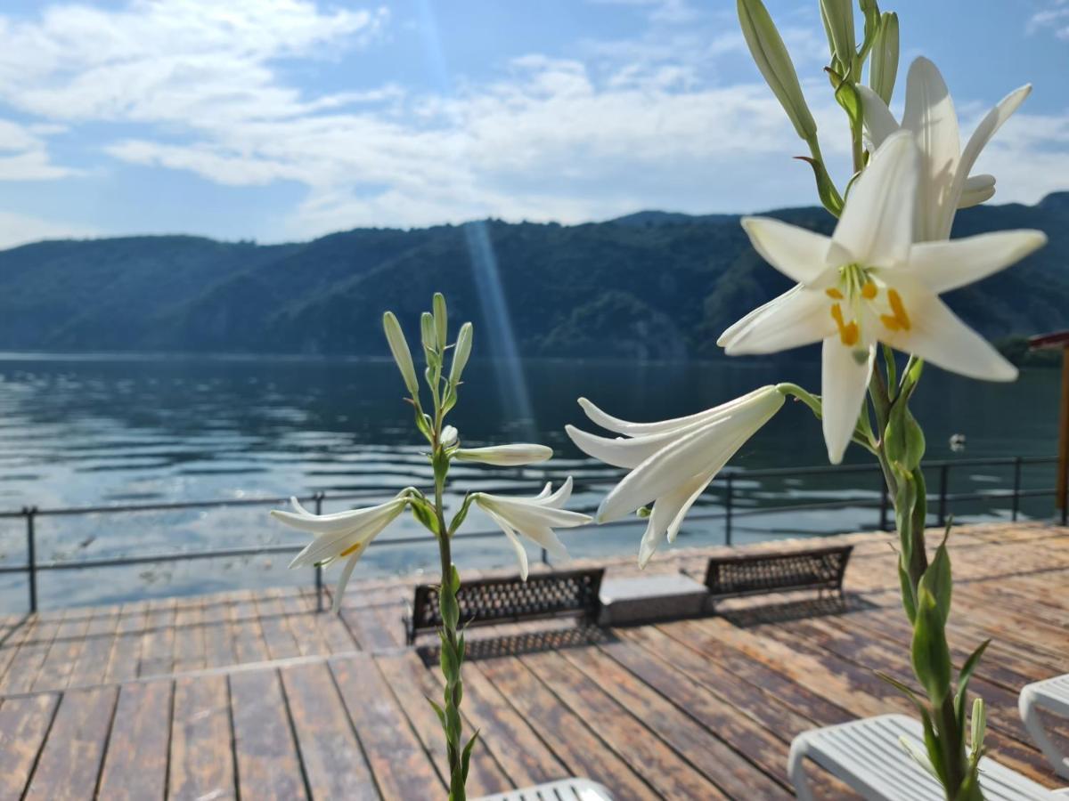 Vila Cristiane Hotel Ieşelniţa Buitenkant foto